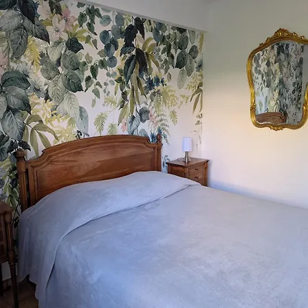 Eucalyptus, Calme Entoure De Verdure Et Pres De La